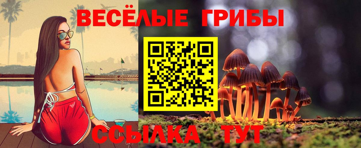 Галлюциногенные грибы мухоморы Тверь